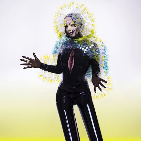 Bjork "Vulnicura" 2LP