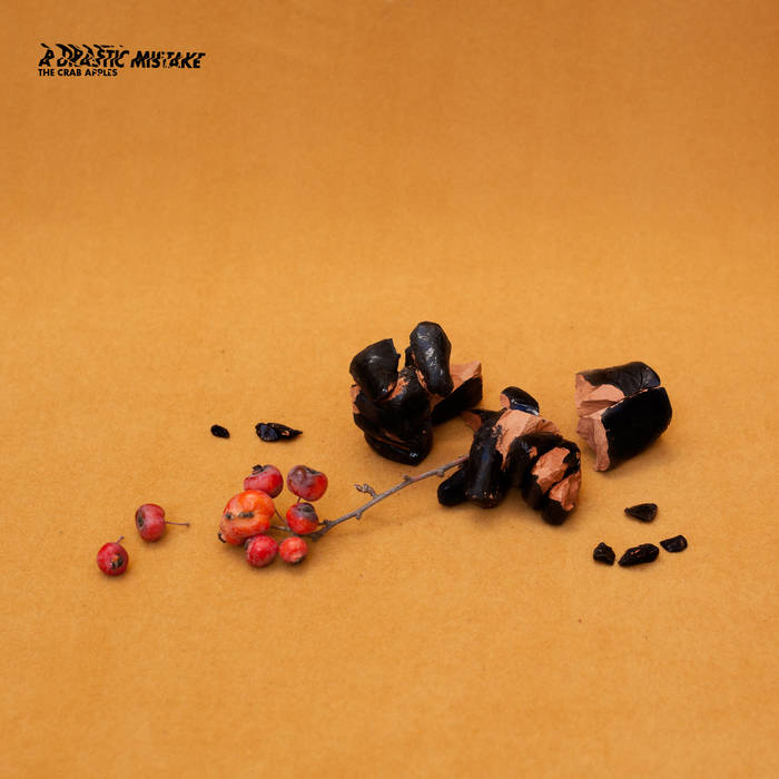 The Crab Apples "A Drastic Mistake" CD