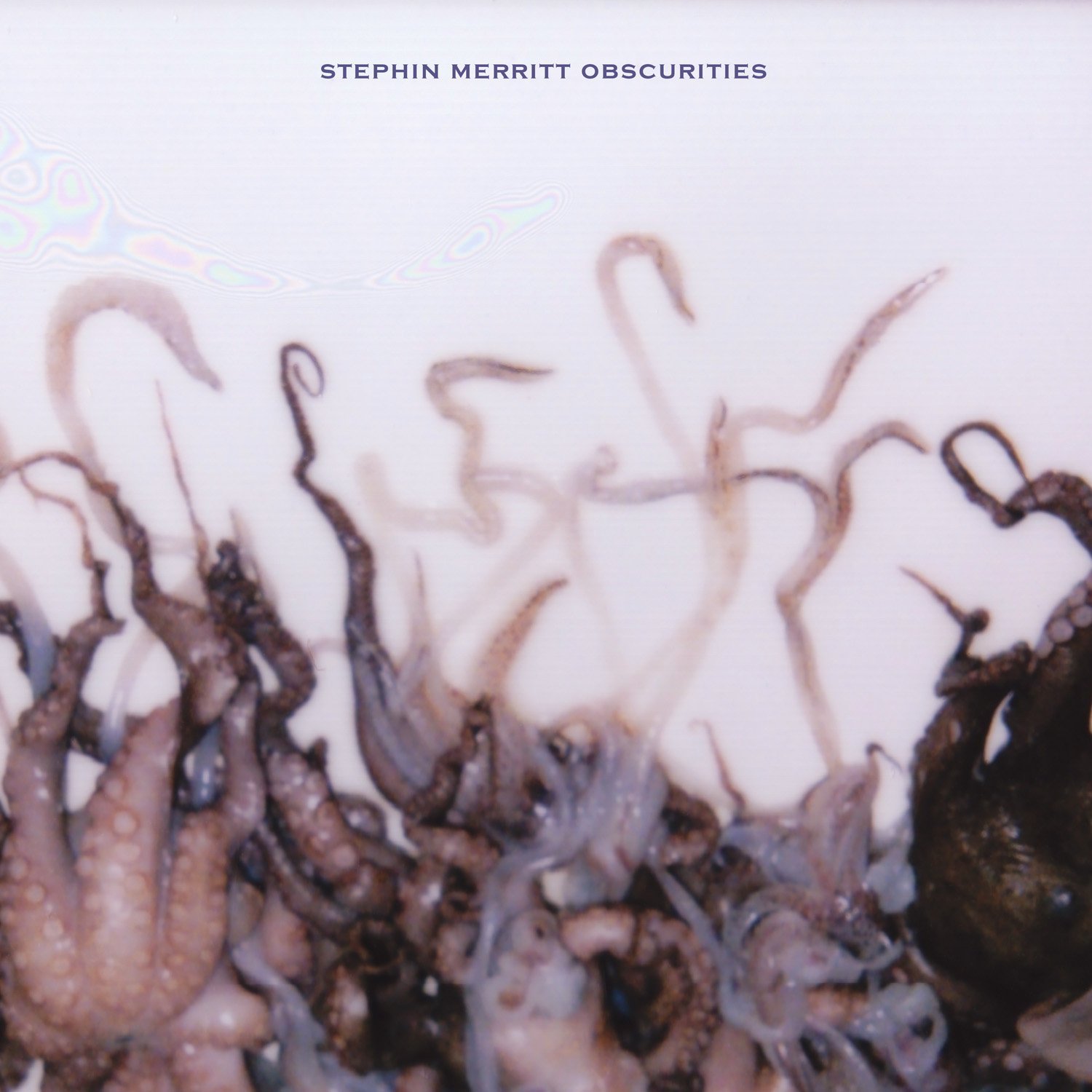 Stephin Merritt "Obscurities" LP