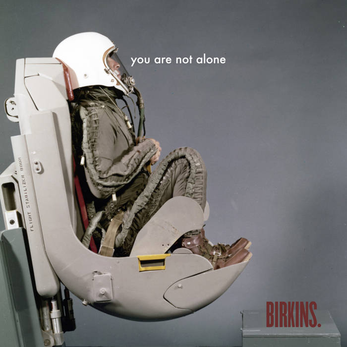 Birkins "You are not alone" LP