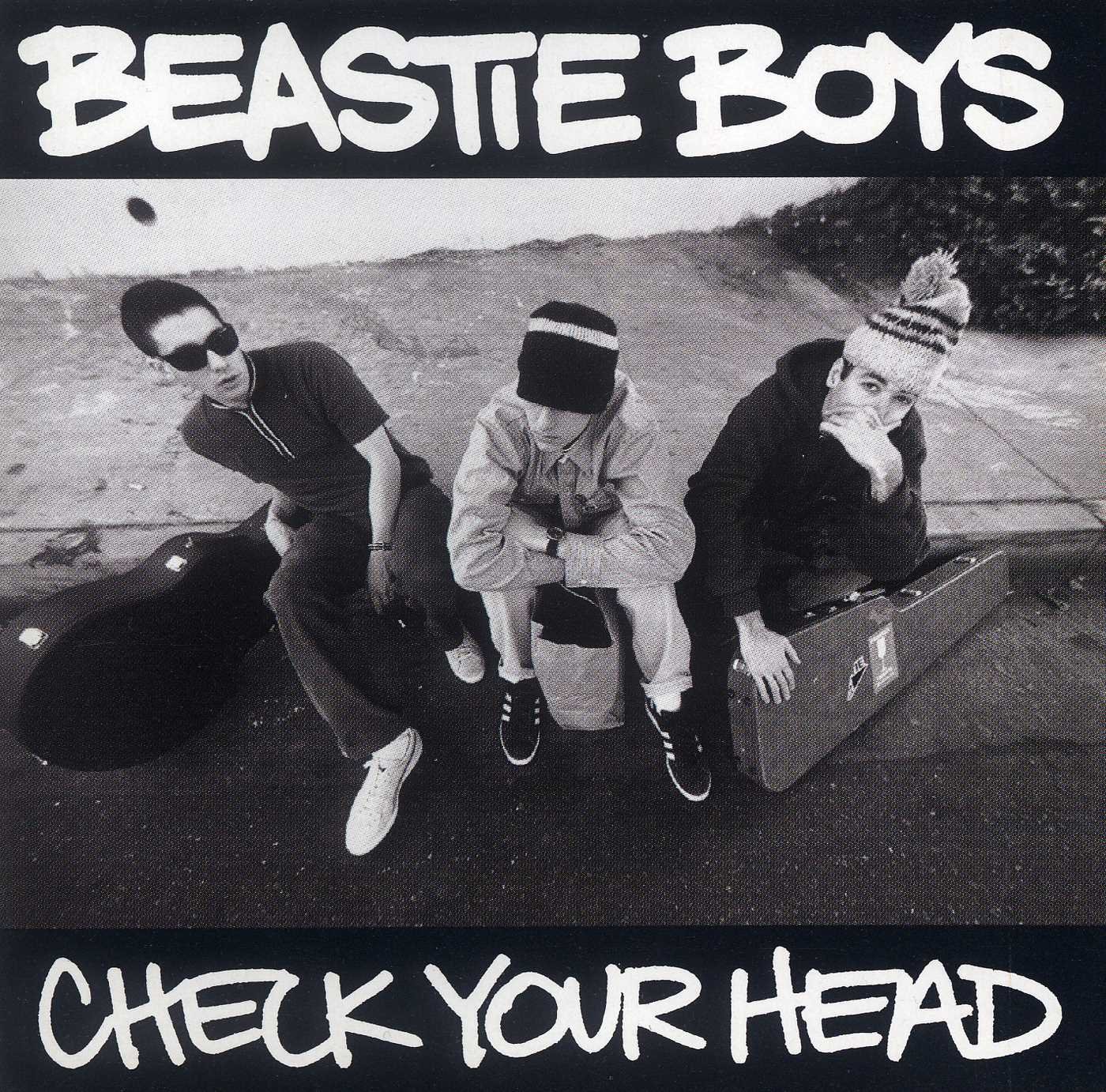 Beastie Boys "Cheek Your Head" 2LP