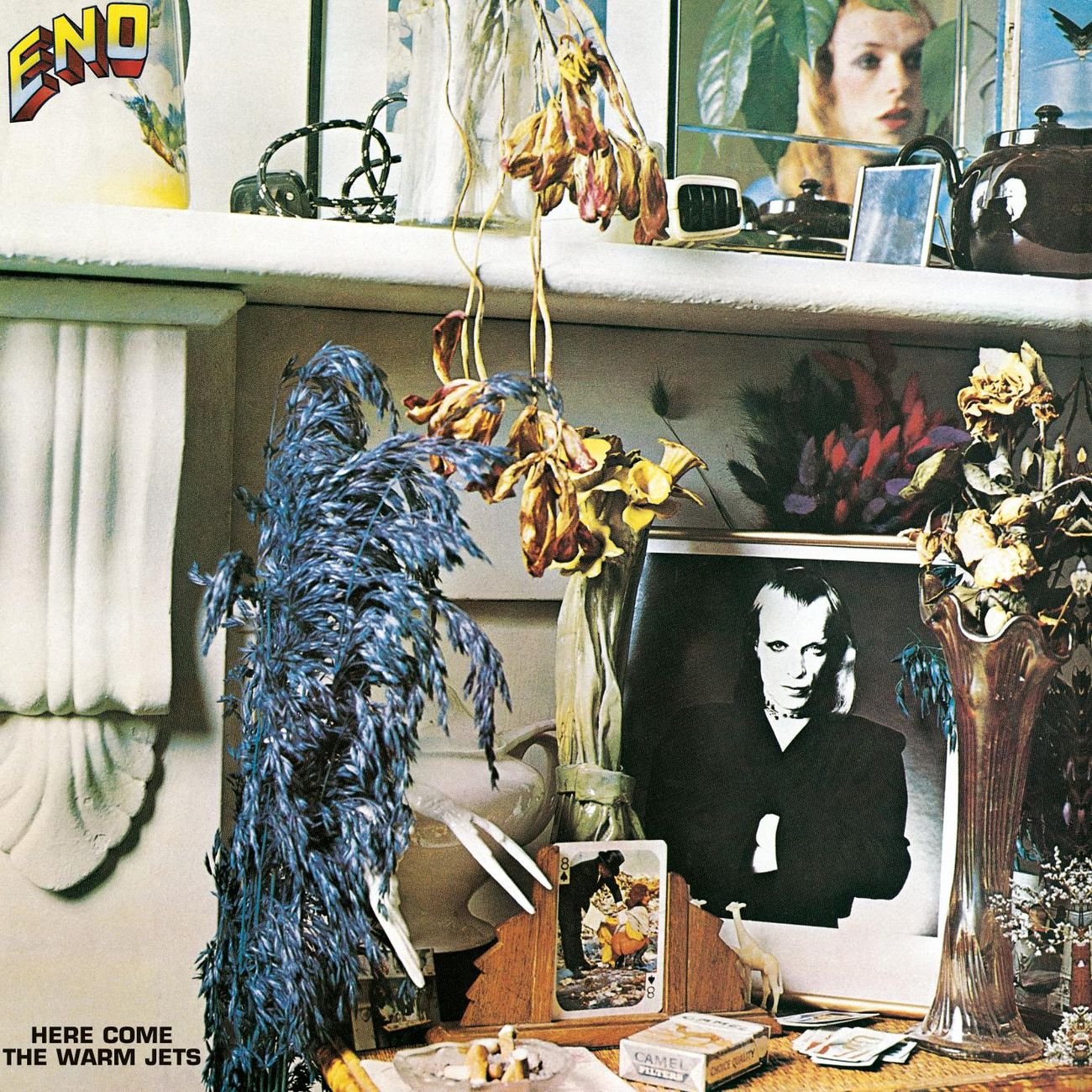 Brian Eno "Here Come The Warm Jets" LP