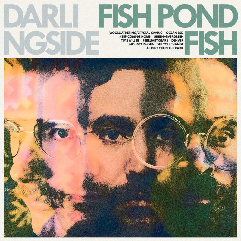 Darlingside "Fish Pond Fish" LP