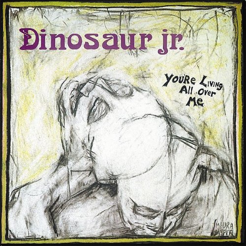 Dinosaur Jr "You're Living All Over Me" LP