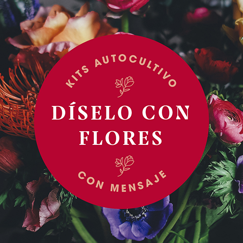 Kit Flores "Felicidades"