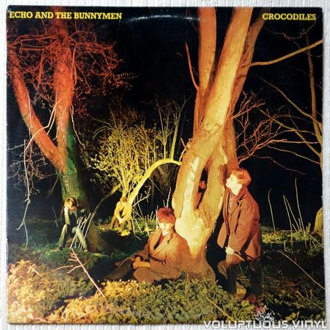 Echo & The Bunnymen “Crocodiles” Remasterizado 180g