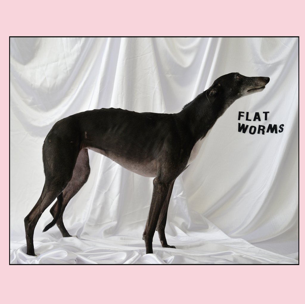 Flat Worms "Flat Worms" LP