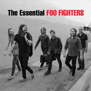 Foo Fighters "The Essential Foo Fighters" 2LP