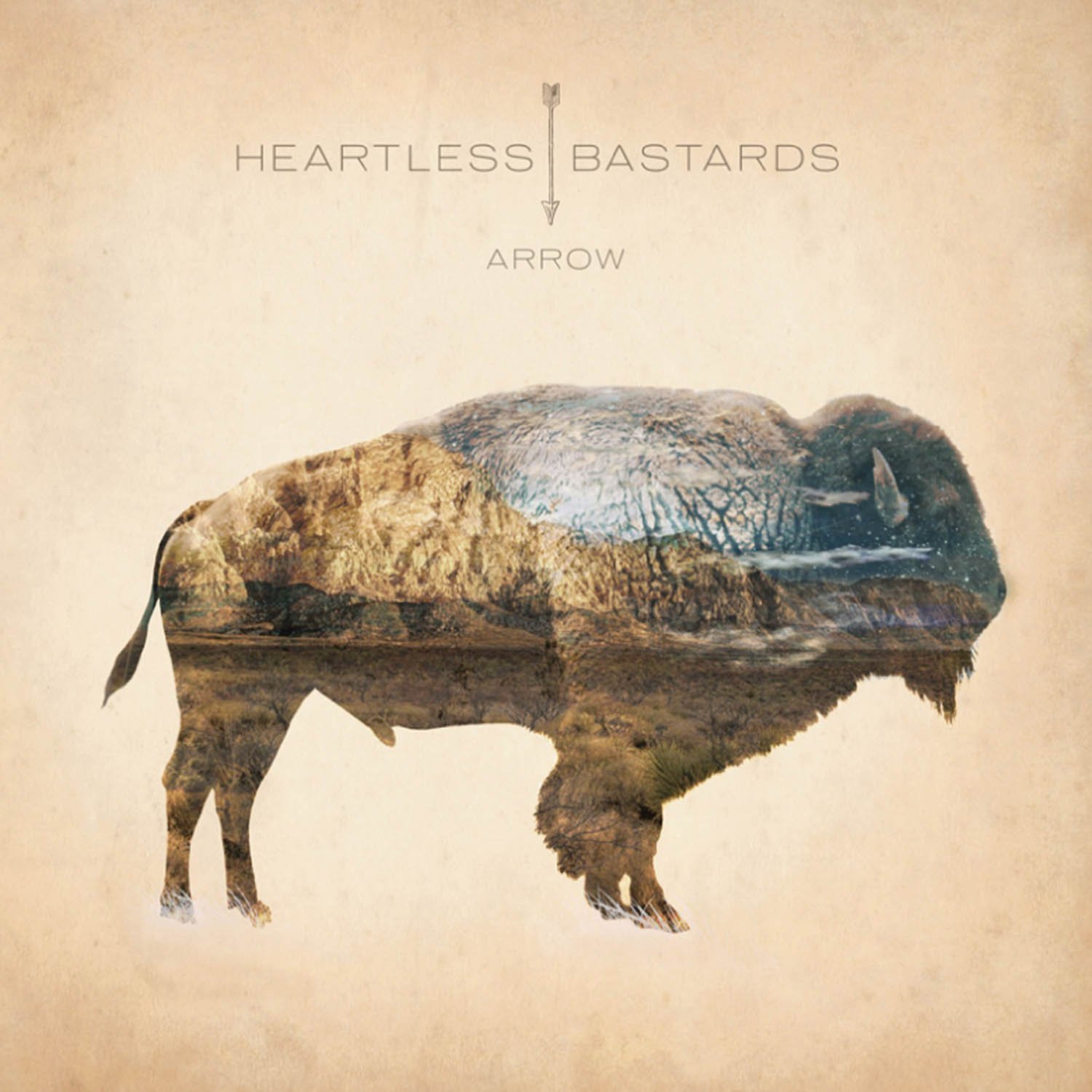 Heartless Bastards "Arrow" LP