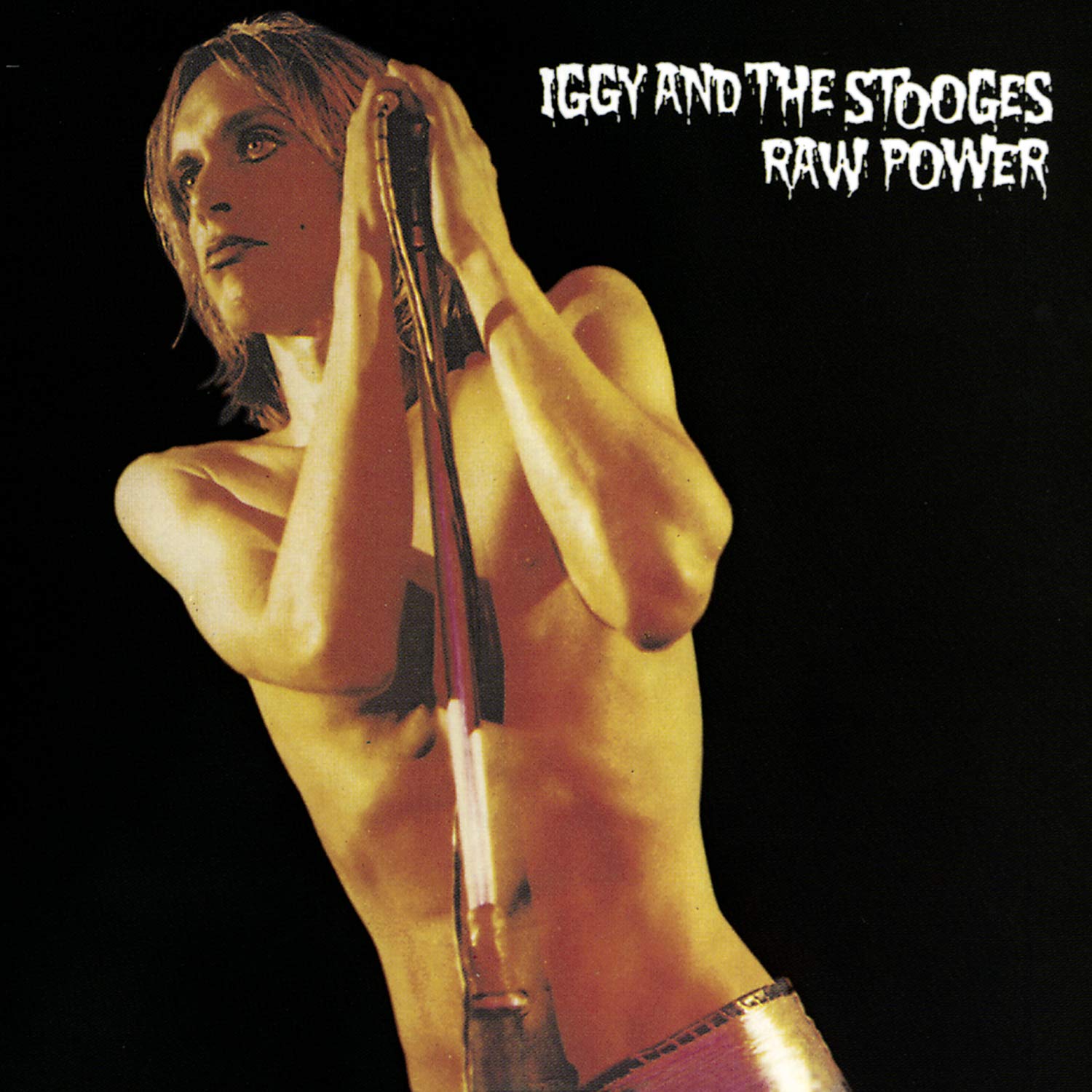 Iggy & The Stooges "Raw Power" 2LP