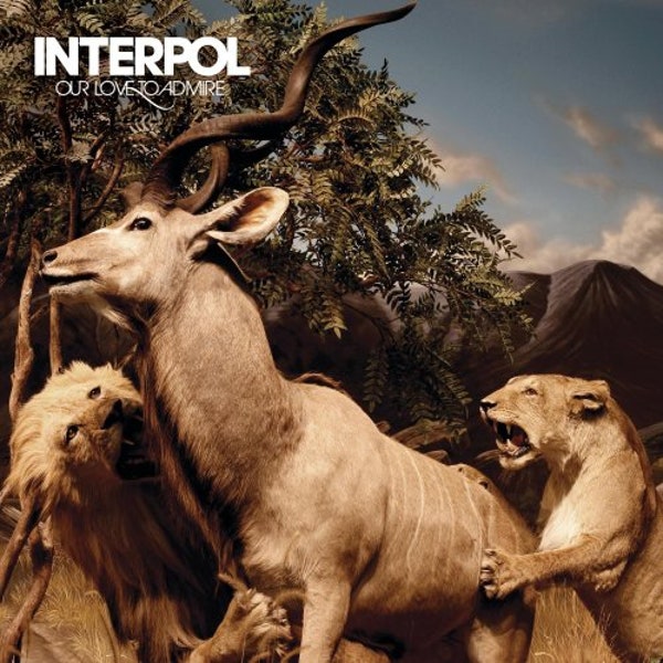 Interpol "Our Love to admire" 2LP