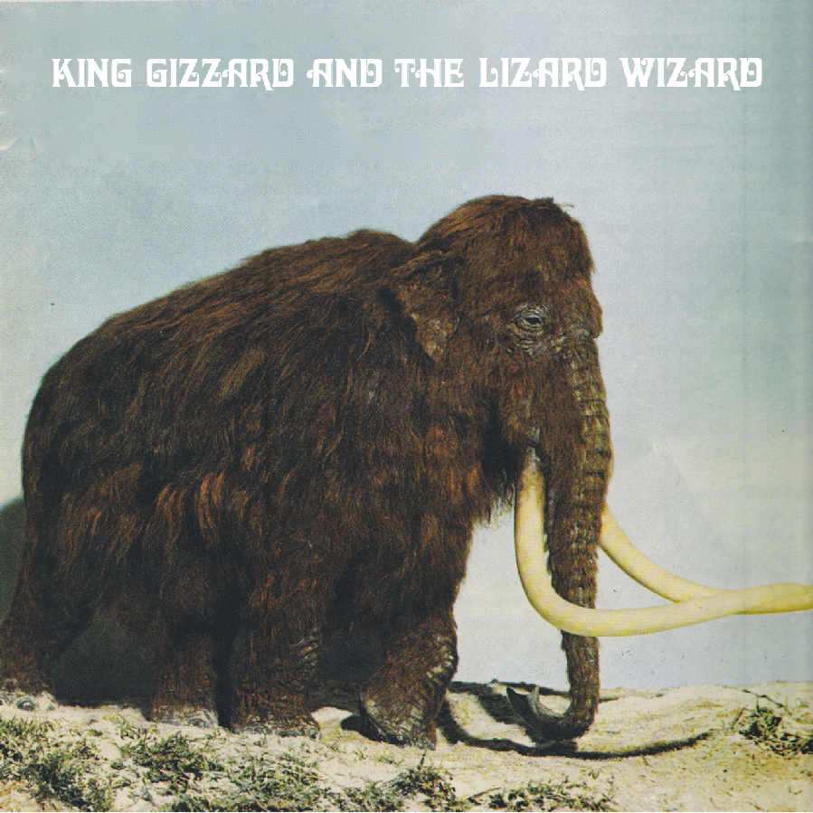 King Gizzard and the Lizard Wizard "Polygondwanaland"LP