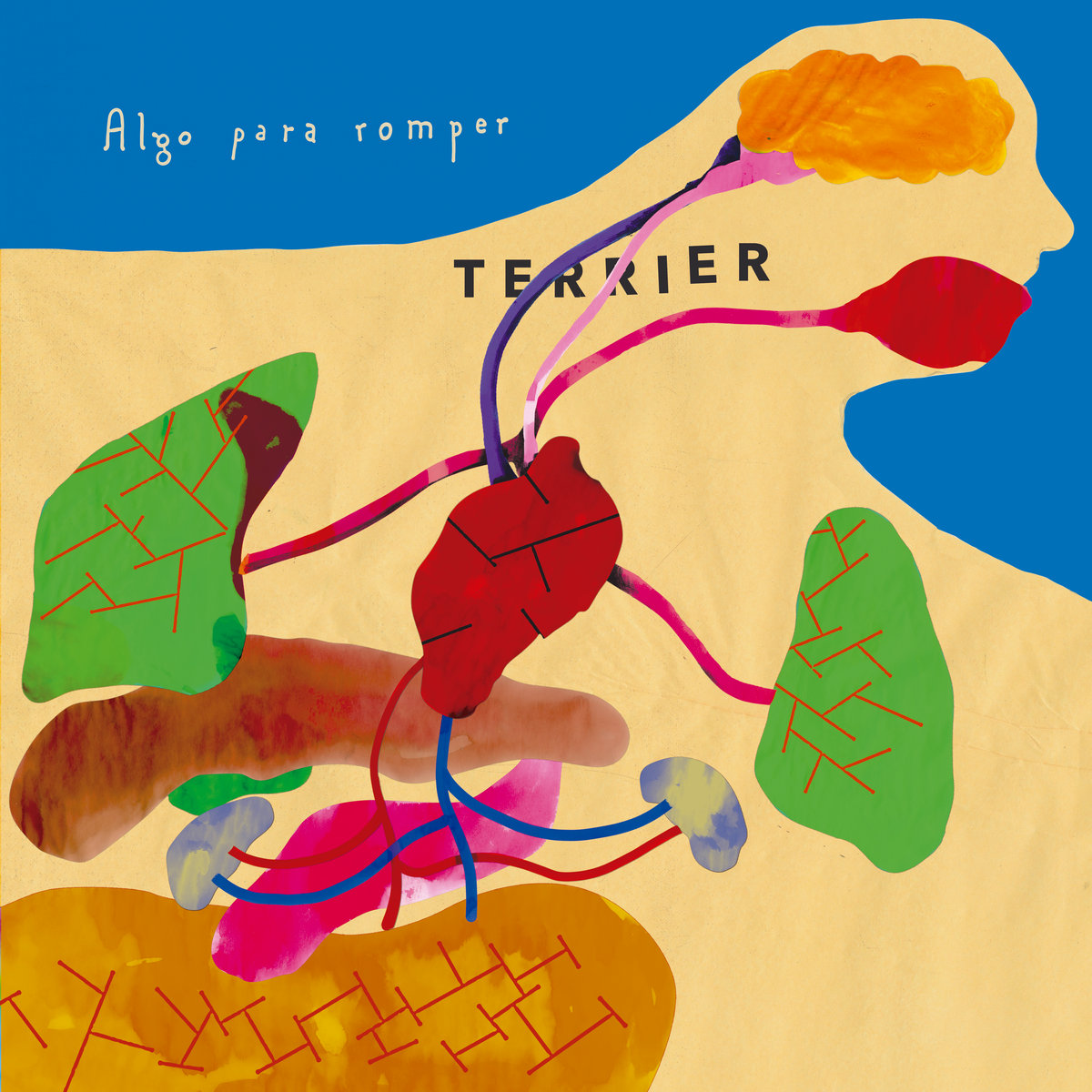 Terrier "Algo para romper" LP