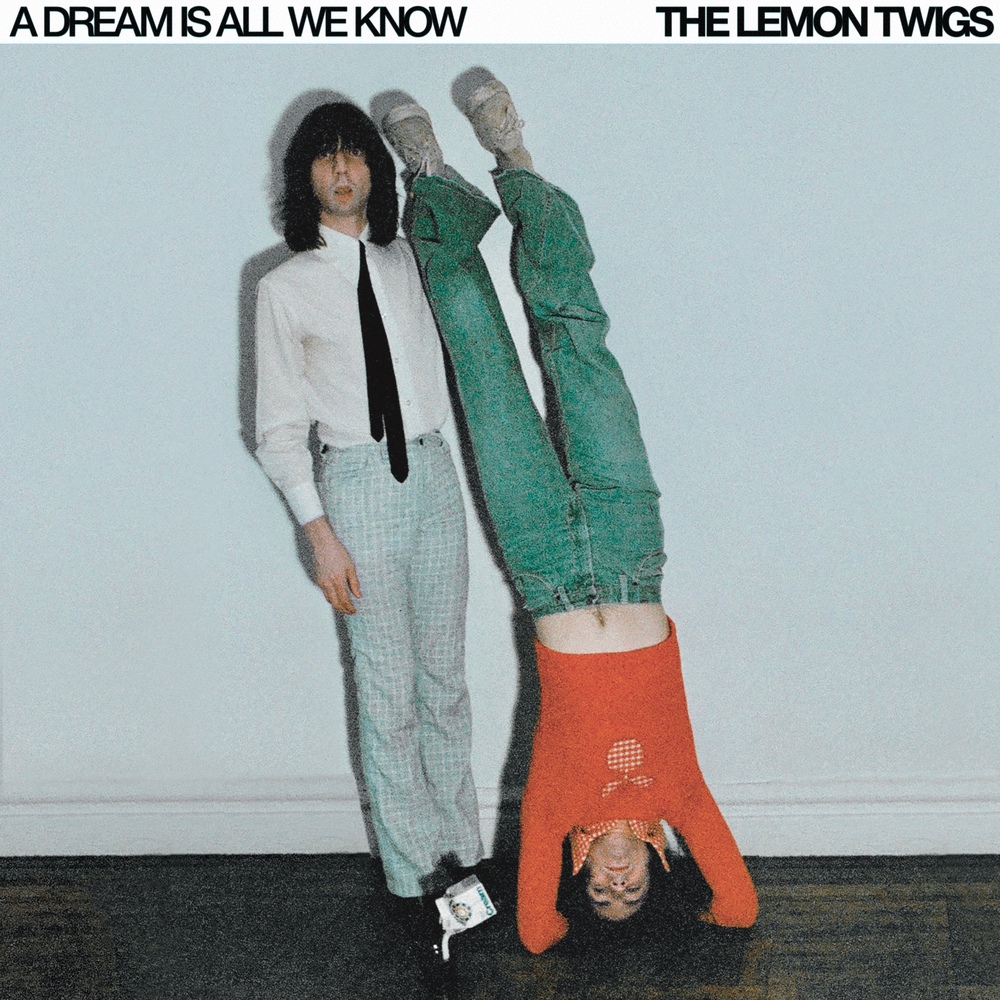 Lemon Twigs "A Dream Is All We Know" Indies LP