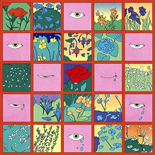 Vera Fauna "Dudas y Flores" LP