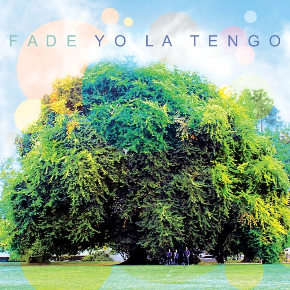 Yo La Tengo "Fade" LP