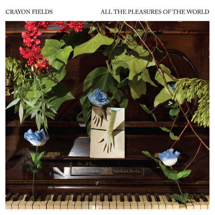 Crayon Fields "All the Pleasures Of the World" LP