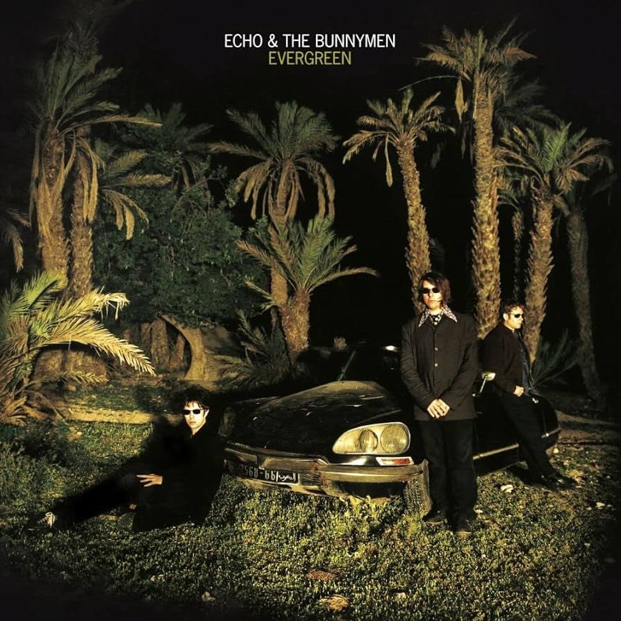 Echo & The Bunnymen "Evergreen" White ⚪ LP