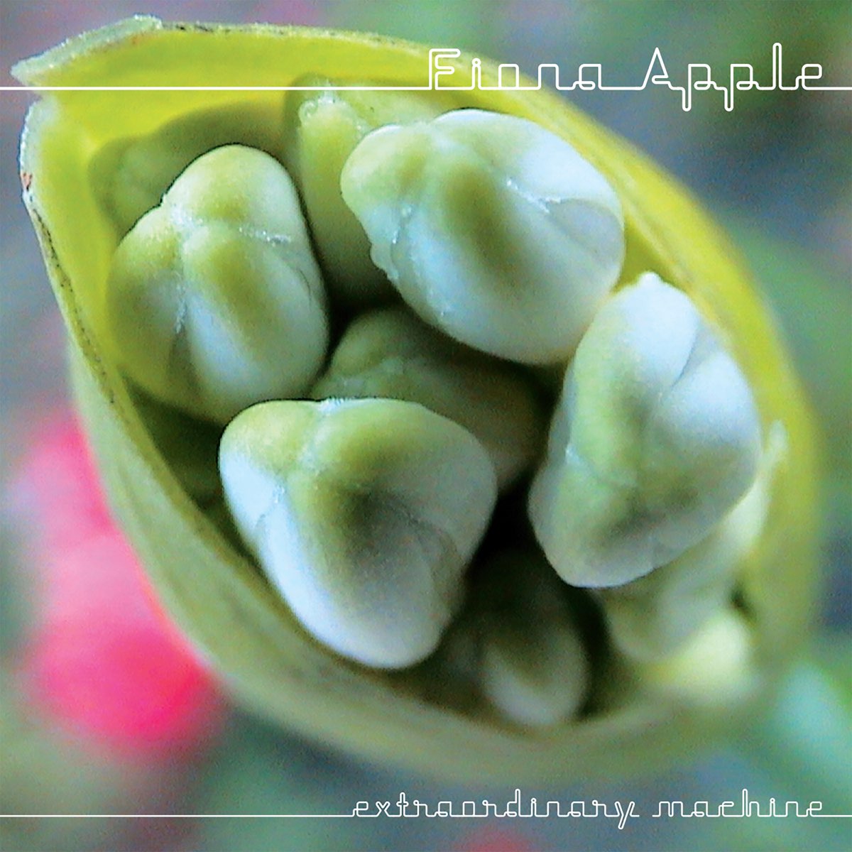 Fiona Apple "Extraordinary Machine" 2LP
