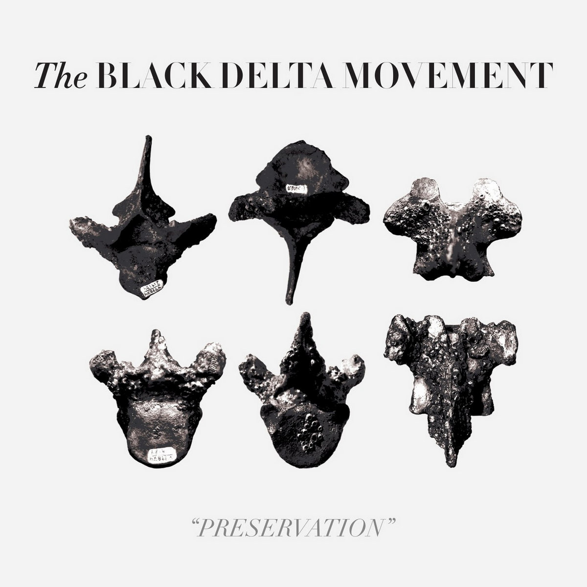 The Black Delta Movement "Preservation" LP