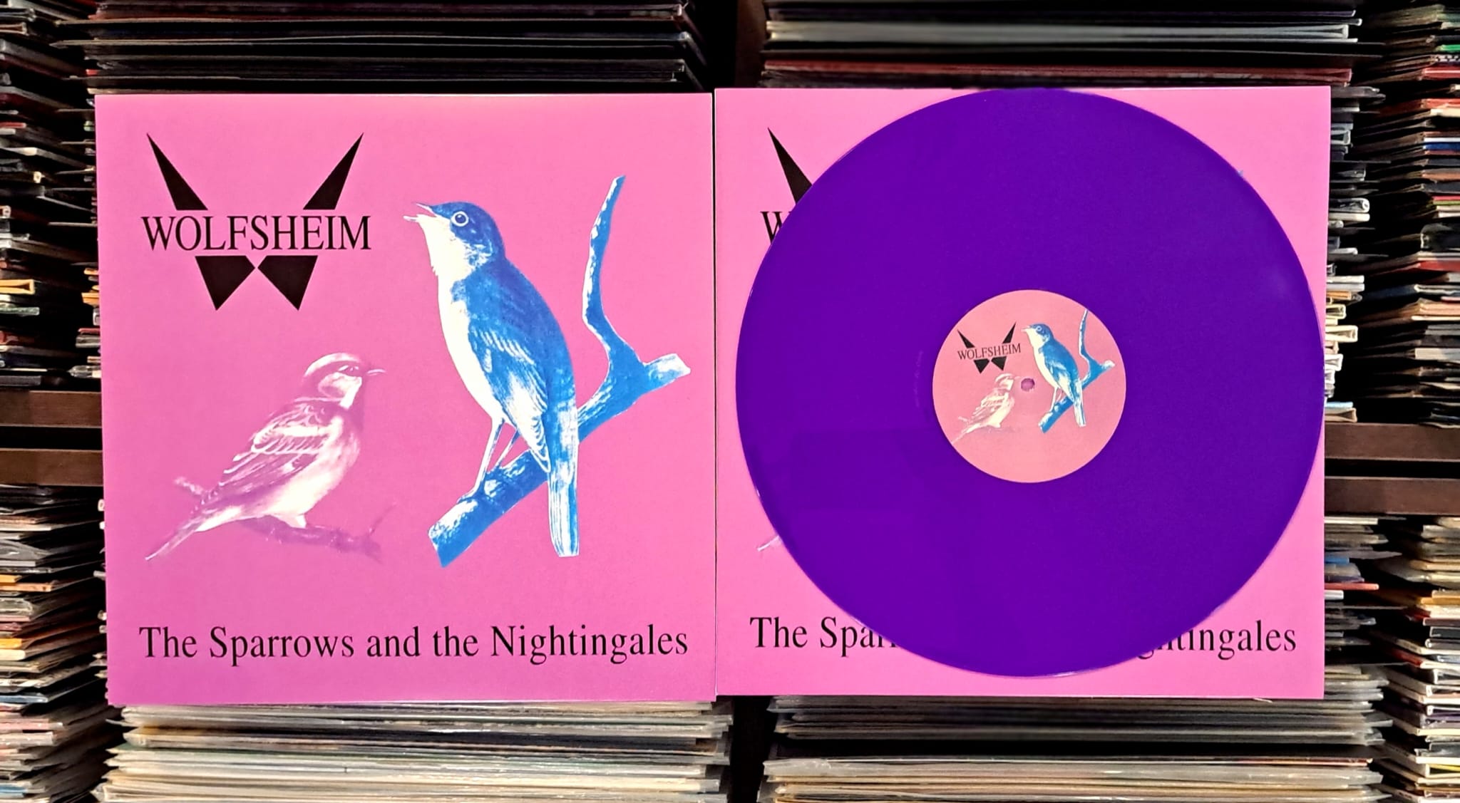 Wolfsheim "The Sparrows and the Nightingales" 12" 🟣 Magenta.