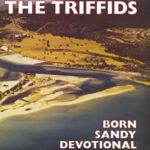 The Triffids “Born Sandy Devotional” Yellow 🟡 LP