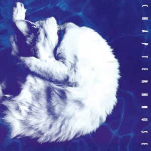 Chapterhouse “Whirpool” Marbeled White ⚪ LP