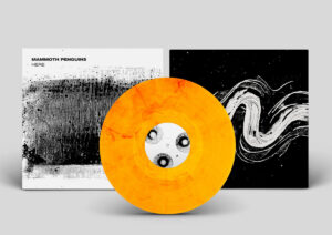 Mammoth Penguins “Here” Orange 🟠 LP