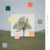 Washed-Out-Notes-From-A-Quiet-Lfe-Coloured-LP-comprar-online-lp