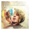 beck-morning-phase-comprar-lp-online