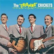 The-Crickets-The-Chirping-Crickets-comprar-lp-online