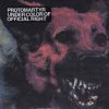 Protomartyr–Under-Color-Of-Official-Right-comprar-lp-online