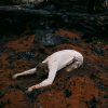 Hannah Frances "Keeper of the shepherd" LP