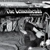 The-Lemonheads-Lemonheads-In-Dreamland-White-LP-RSD-2025-COMPRAR-LP-ONLINE