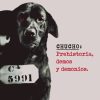 Chucho-Prehistoria-Demos-y-Demonios-LP-Compra-Online