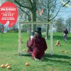 Syd-Barrett-An-Introduction-To-Syd-Barrett-comprar-2lp-online
