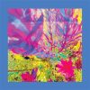 Reds-Pinks-and-Purples-The-Past-Is-a-Garden-I-Never-Fed-LP-COMPRAR-LP-ONLINE