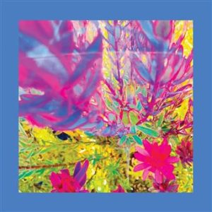 Reds-Pinks-and-Purples-The-Past-Is-a-Garden-I-Never-Fed-LP-COMPRAR-LP-ONLINE