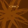 Orbital_-_The_Brown_Album_-_2025_Reissue-comprar-lp-online.