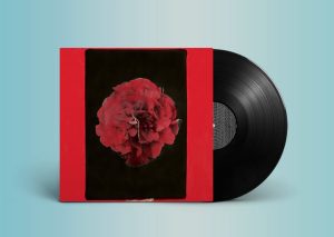 activity-a-thousand-years-in-another-way-lp-comprar-disco-online-vinilo