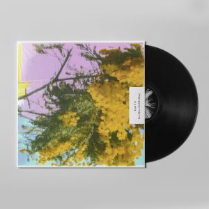 FourTet_IntoDust_Front_Open