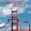 Modest-Mouse-Interstate-8-comprar-lp-online
