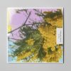 Four Tet "Into Dust (Still Falling)" 12"