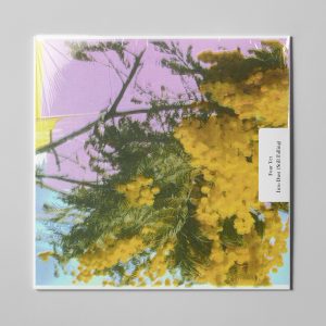 four-tet-into-dust-still-falling-12-limited-lp-comprar-disco.jpg
