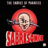 the-sabres-of-paradise-hanunted-sabresonic-2lp-reissue-comprar-lp-online