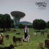 Depresión Sonora "Los perros no entienden Internet" LP Color