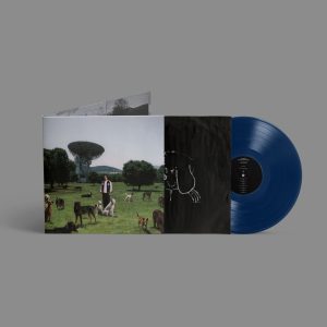Depresion-Sonora–Los-Perros-No-Entienden-Internet–LP–COMPRAR-LP-AZUL-ONLINE.jpg
