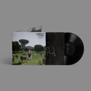 Depresion-Sonora–Los-Perros-No-Entienden-Internet–LP–COMPRAR-LP-ONLINE.jpg