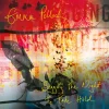 Emma–Pollock–Begging–The–Night–To–Take–Hold–Yellow–LP–COMPRAR–LP–ONLINE