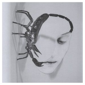 Tortoise-Touch-LP-comprar-lp-online
